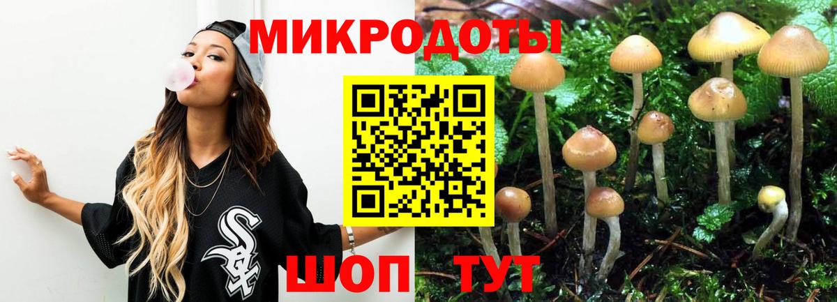 Галлюциногенные грибы мицелий Кизилюрт